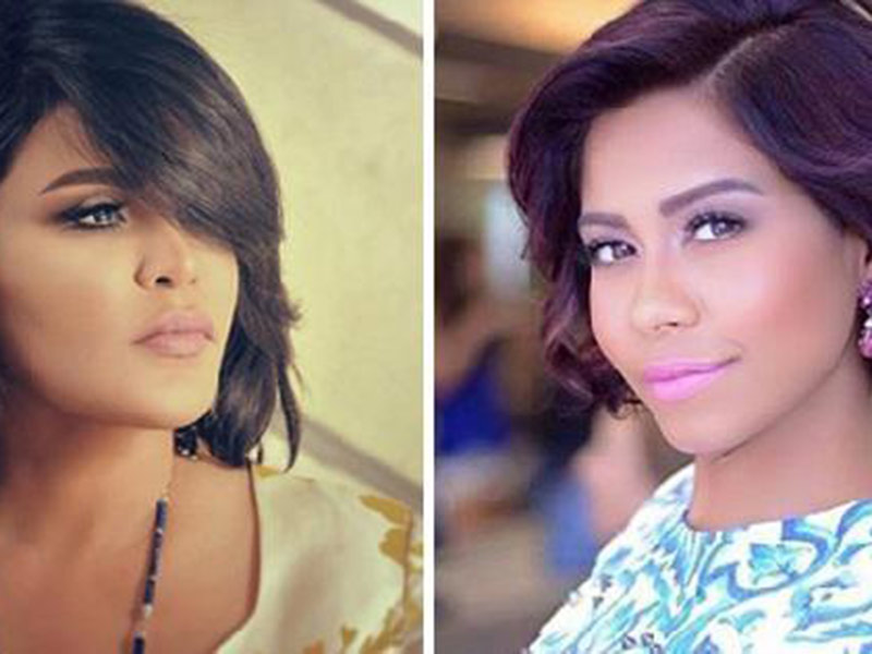 اضغط لمشاهدة الفيديو: شيرين تمنت دخول خزانة أحلام.. فهكذا كان رد الأخيرة